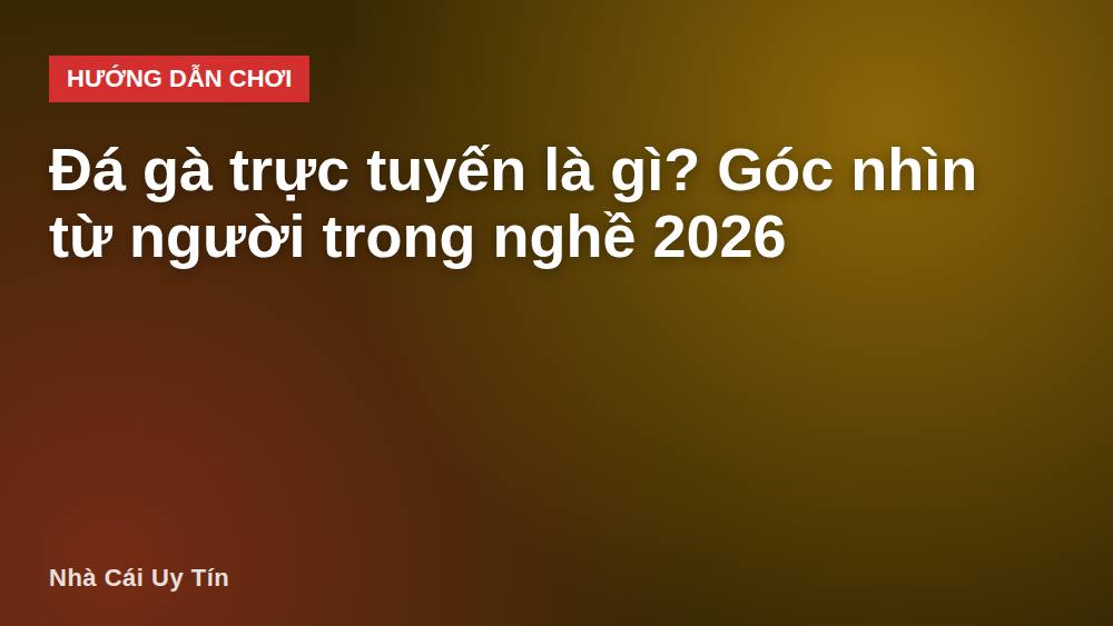 Đá gà trực tuyến là gì? Góc nhìn từ người trong nghề 2026